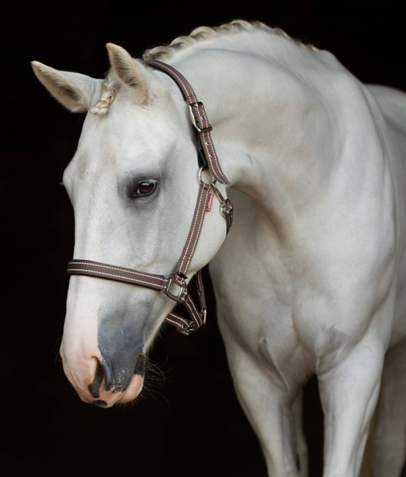 LeMieux Essential Halter - Rider's Tack.Apparel.Supply