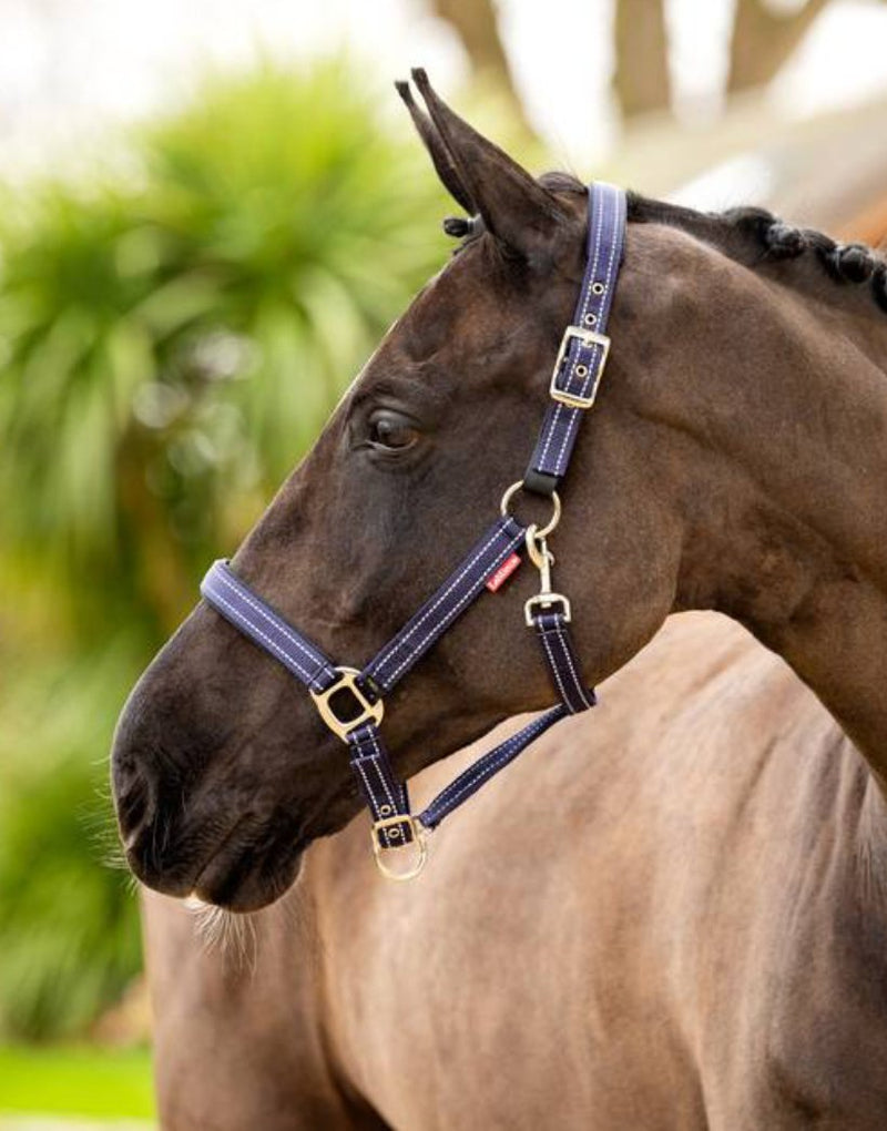 LeMieux Essential Halter - Rider's Tack.Apparel.Supply