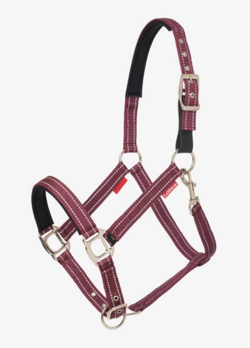 LeMieux Essential Halter - Rider's Tack.Apparel.Supply