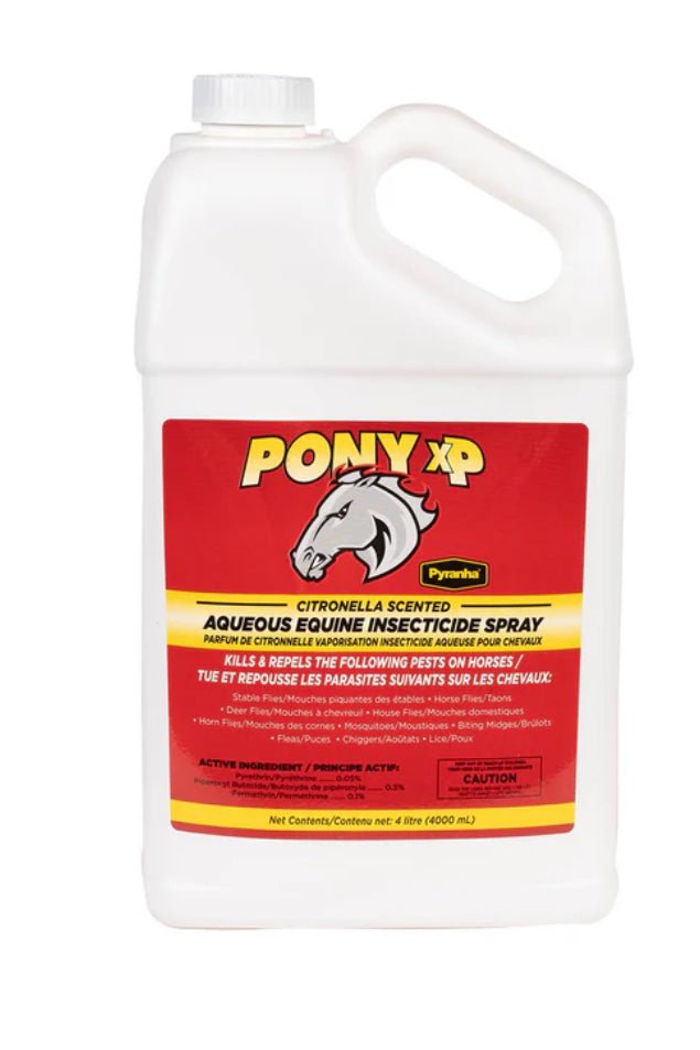 Pony XP 4L - Rider's Tack.Apparel.Supply