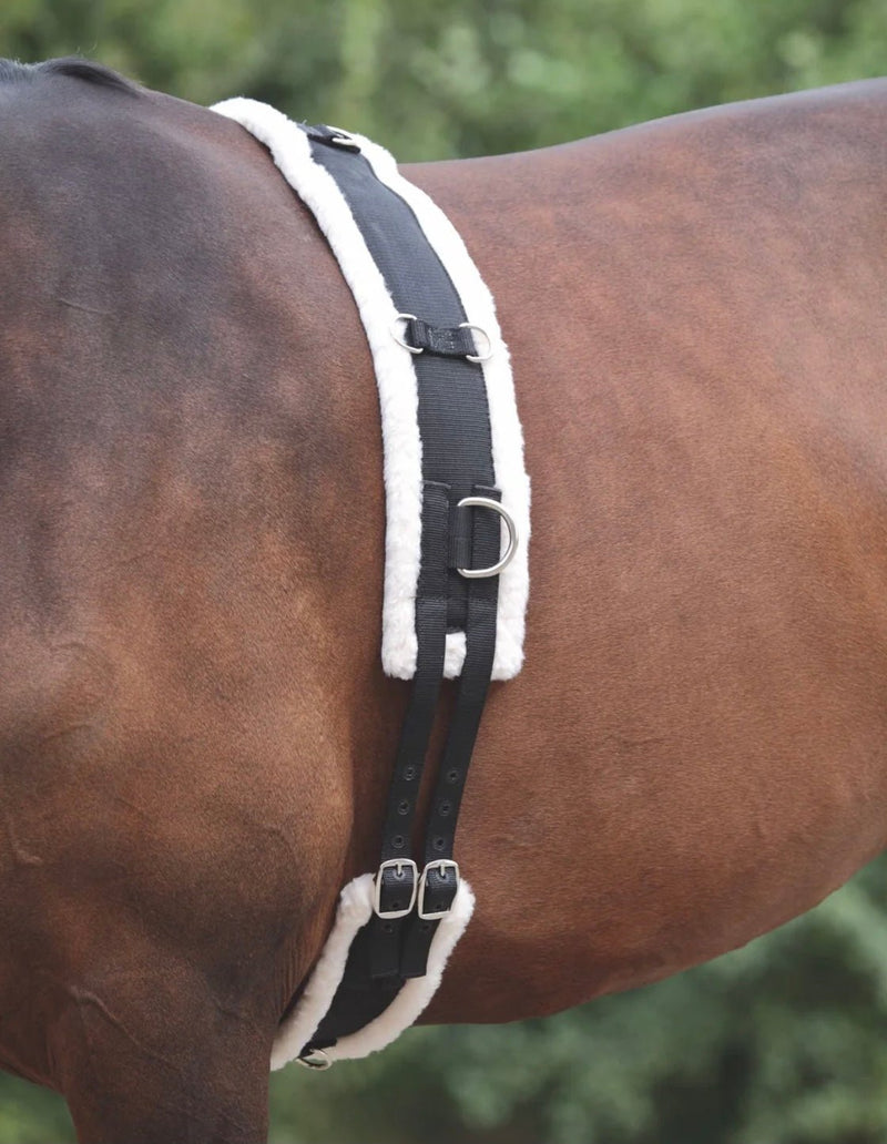 Shires Lunging Surcingle - Rider's Tack.Apparel.Supply